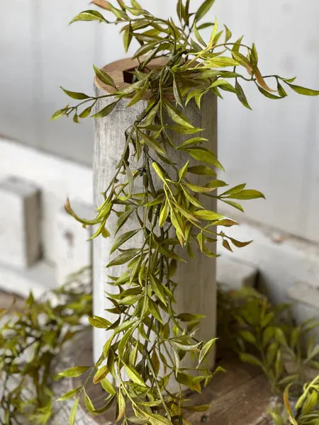 Smilax Garland