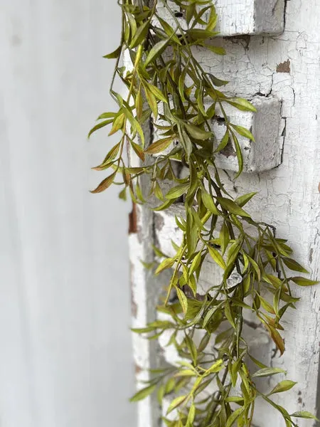 Smilax Garland