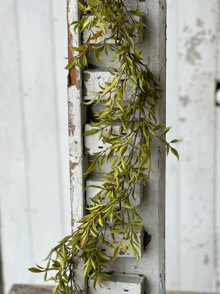 Smilax Garland